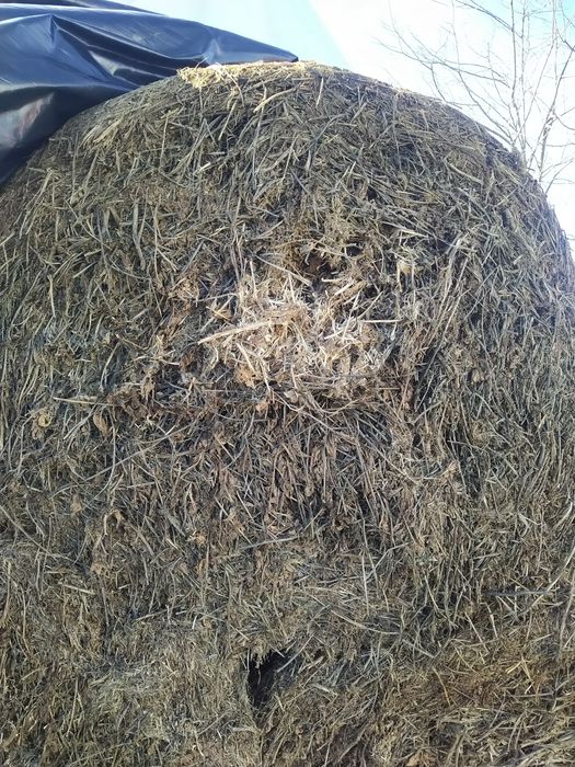 Baloti mari de ciocani și soia 120/160