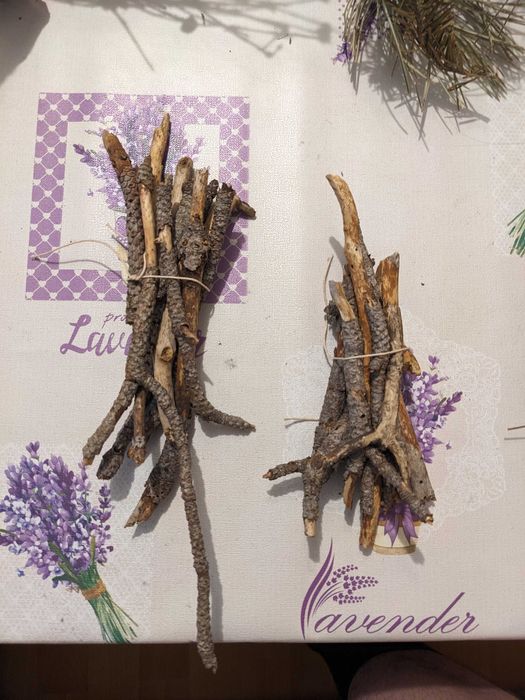 Клонки мъх жълъди шишарки за декоразия