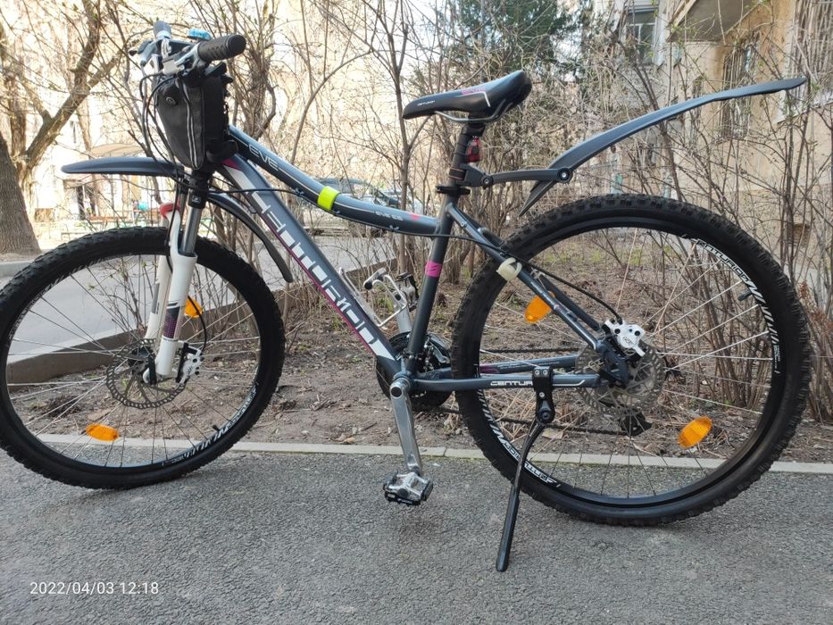 Велосипед centurion eve