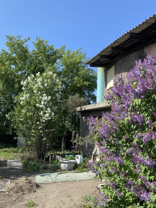 Продам дачу. Общество ,,Ромашка,, В Сортировке