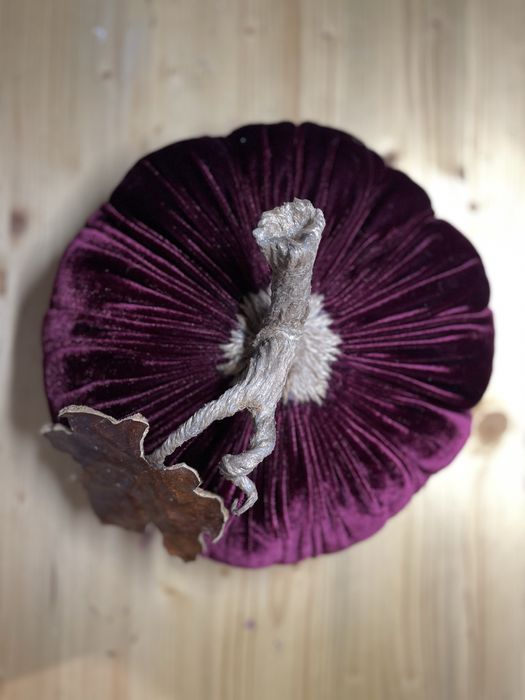 Dovleci decorativi handmade