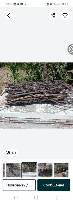 Отин шохлари сотилади