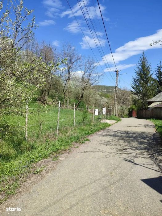 Teren Intravilan Cu Padure | Prahova| Provita De Sus| Breaza