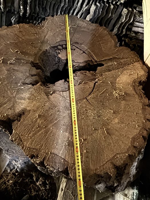 Rondele lemn nuc de peste 300 ani