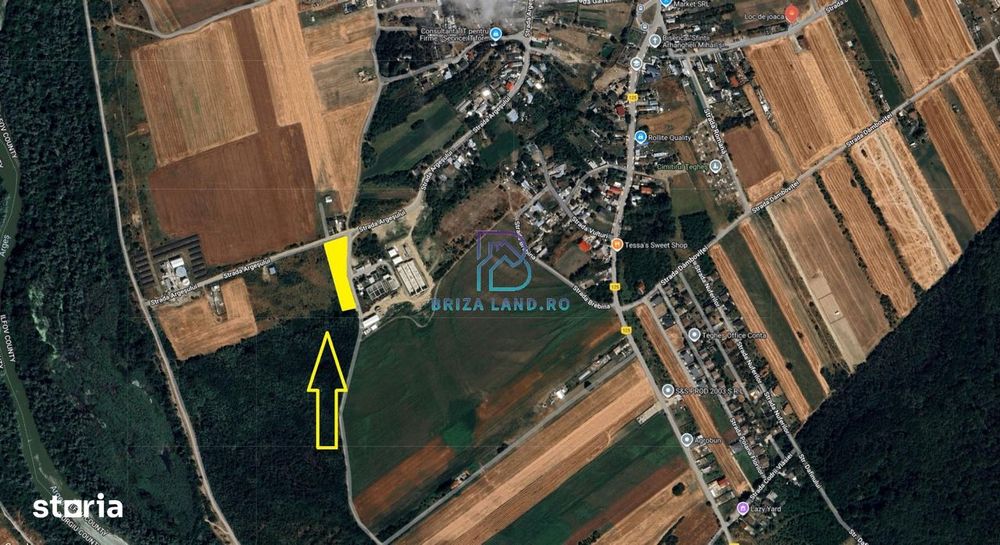 Domnesti, Teghes, teren la padure, str. Argesului teren 2475mp d=36.2m