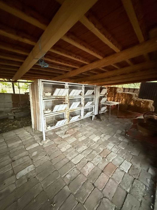 Casa Gospodarie Ferma Bodrogu Nou
