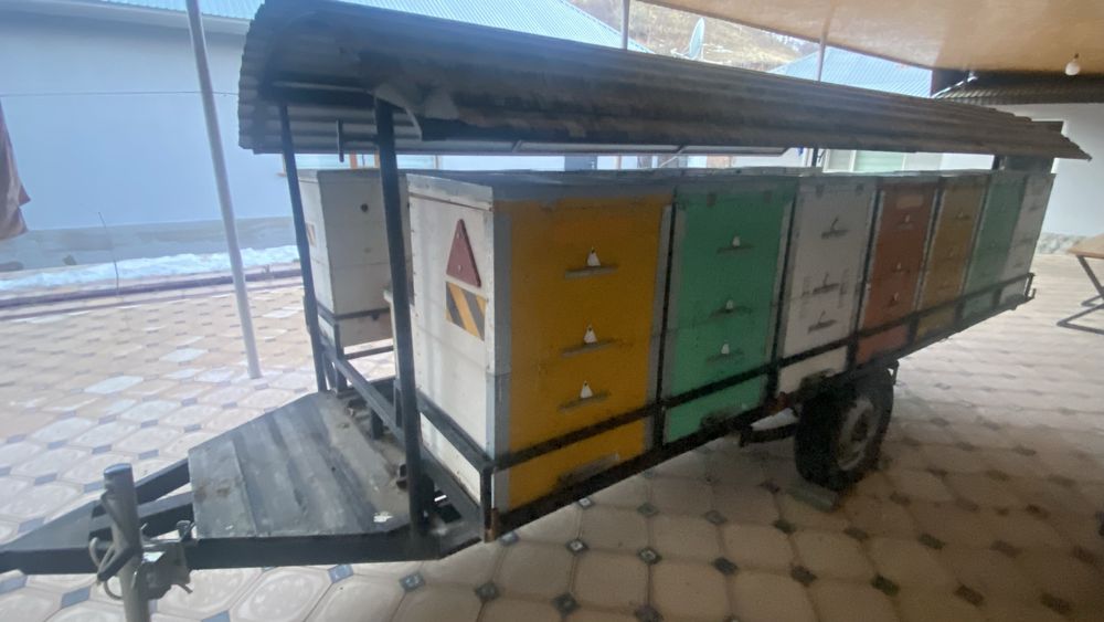 Продается Пасека