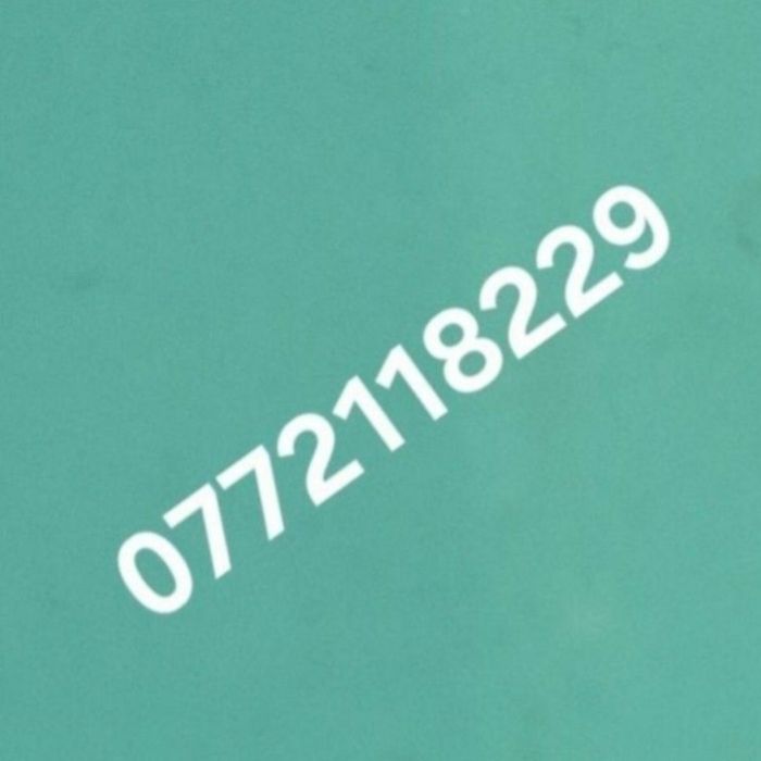 Husa iphone 13 cu bmw
