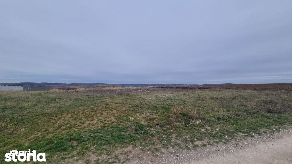 Teren de vânzare Paleu