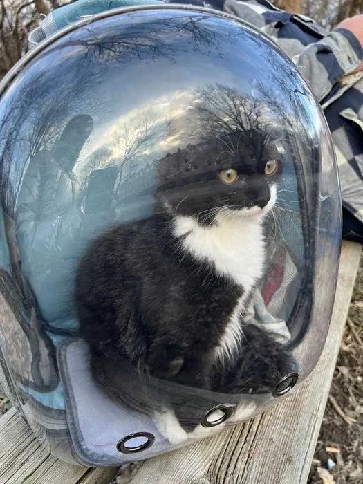 Раница за пренасяне и транспорт на домашни любимци, котки или кучета