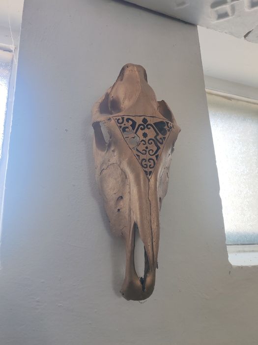 Черепа для интерьера