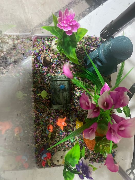 Продам аквариум с декором