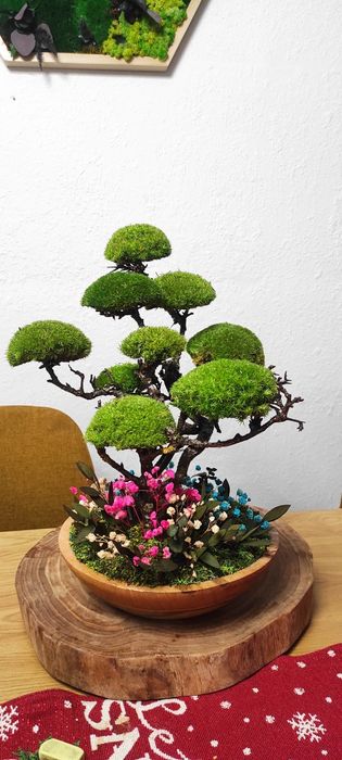 Бонсай със скандинавски мъх и стабилизирани растения!
