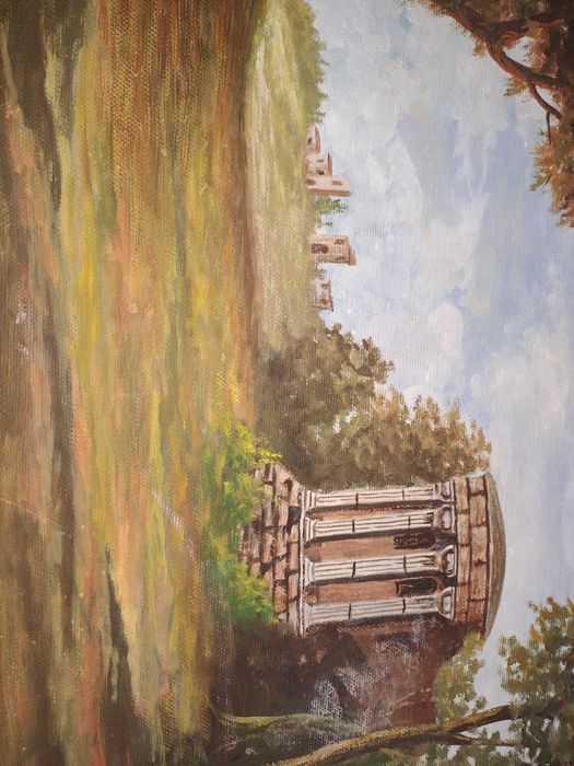 tablou pictura pe panza 30/40 cm semnat Bergamin