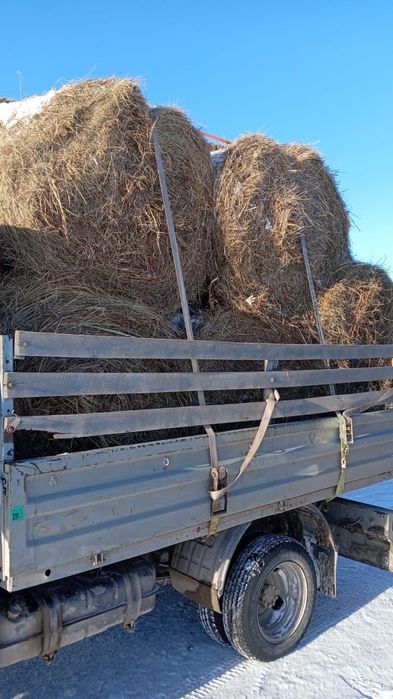 рулоны  +- 250кг