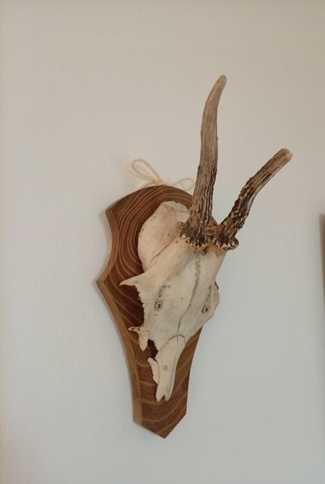 Decorațiune de perete