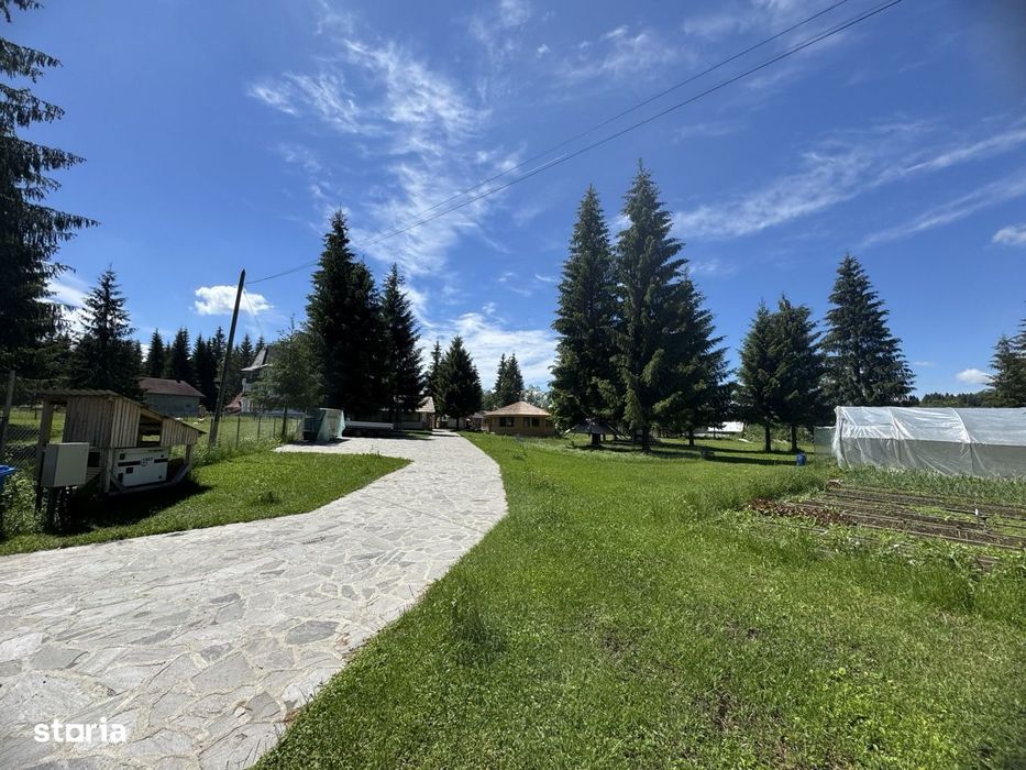 Complex Turistic De Excepție În Poiana Negrii – Bucovina