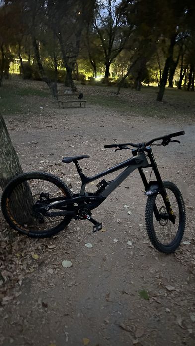 Yt tues 2019 AL