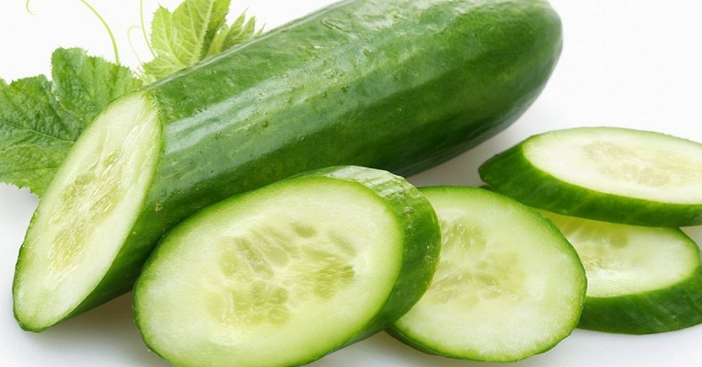 Uchko'prik tumani Soybo'yi mahallasida yetiahtirilgan bodring
