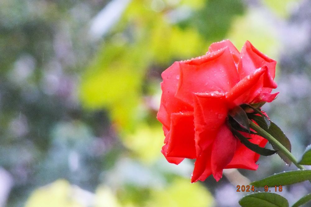 Продавам Фотокамера Fujifilm Finepix HS30EXR