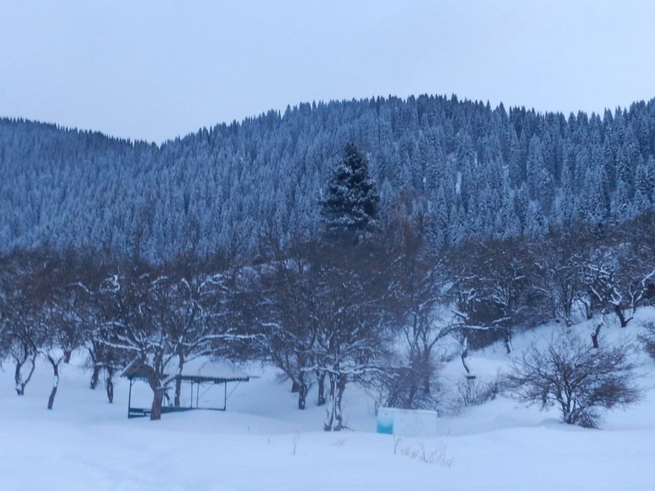 Фотоаппарат Nikon Coolpix P500.