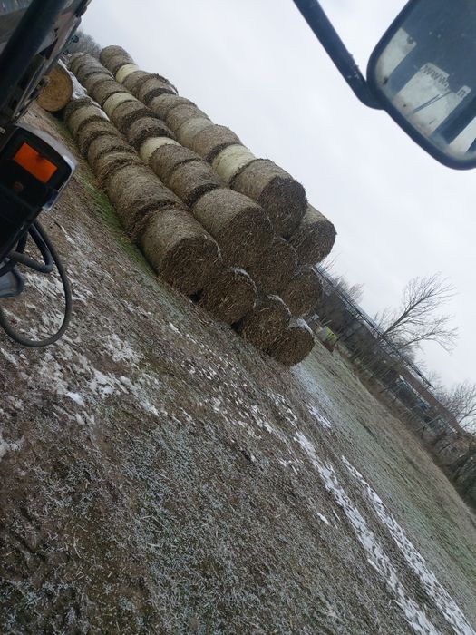 Vând baloti rotunzi de porumb