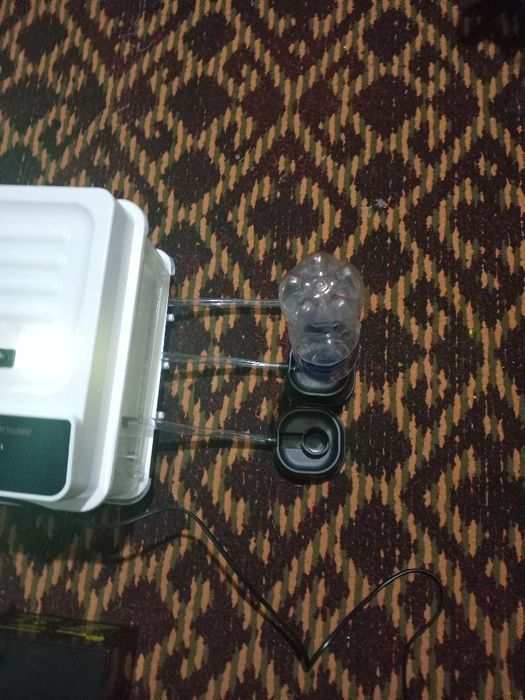 Сотилади  хитойнинг мининг инкубатор