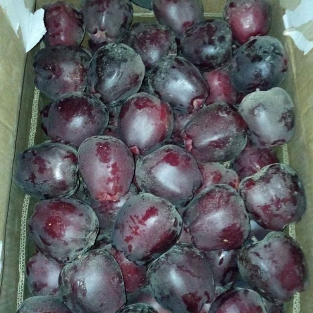 Baxmal olma va mevali koʻchatlari sotuvda mavjud