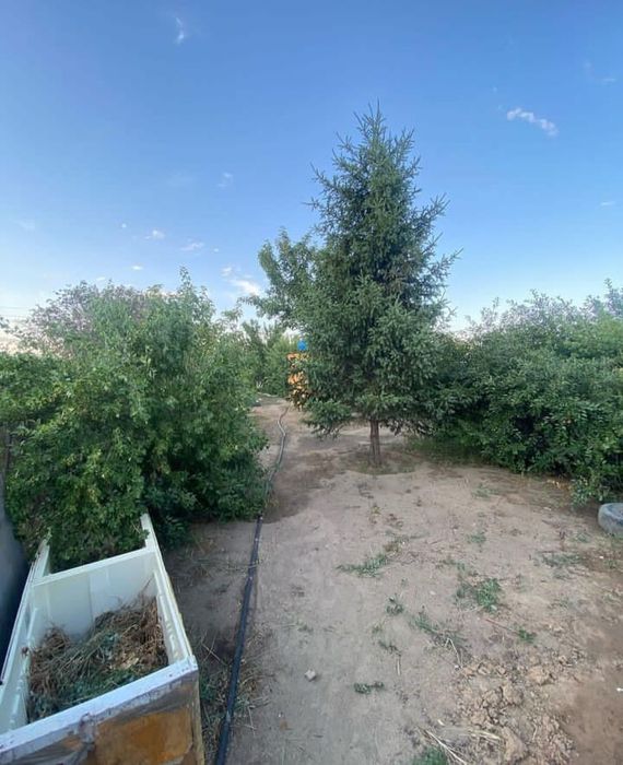 Продам  дачу летний вариант