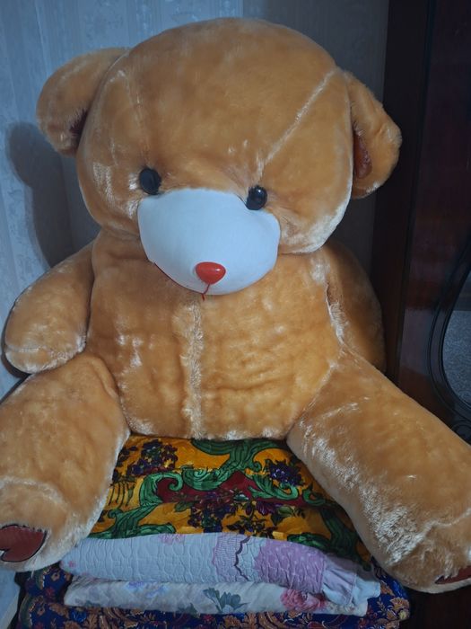 Teddy ayiq o'yinchoq