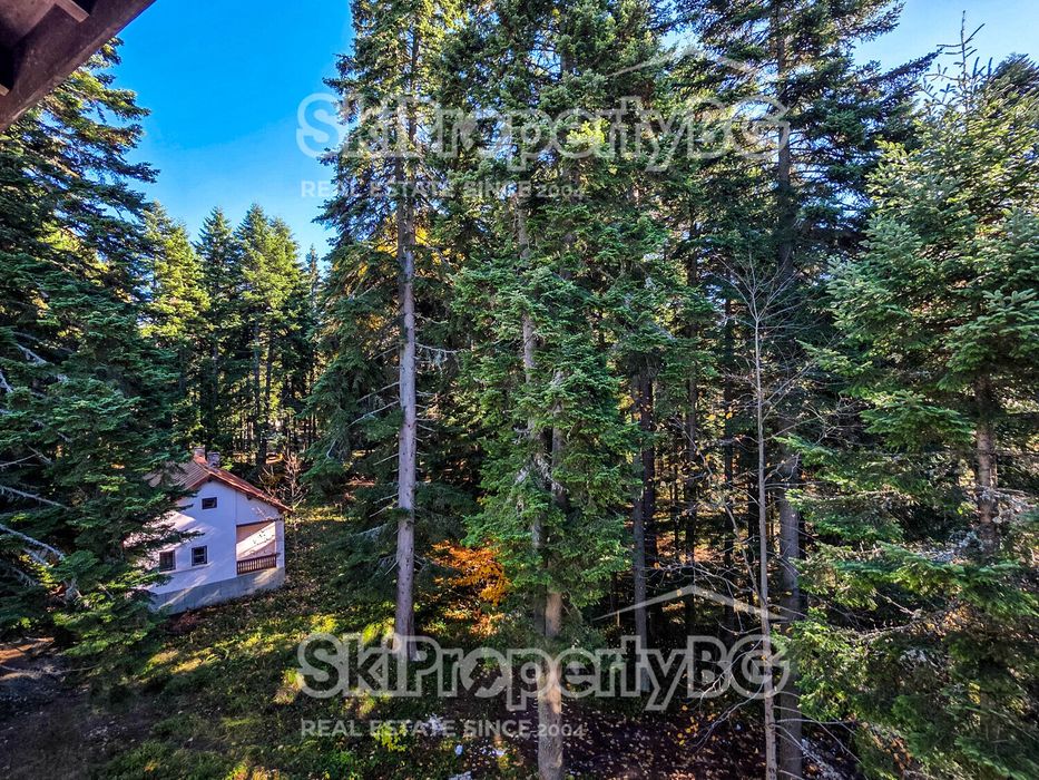 Двустаен апартамент сред борова гора  в Боровец!