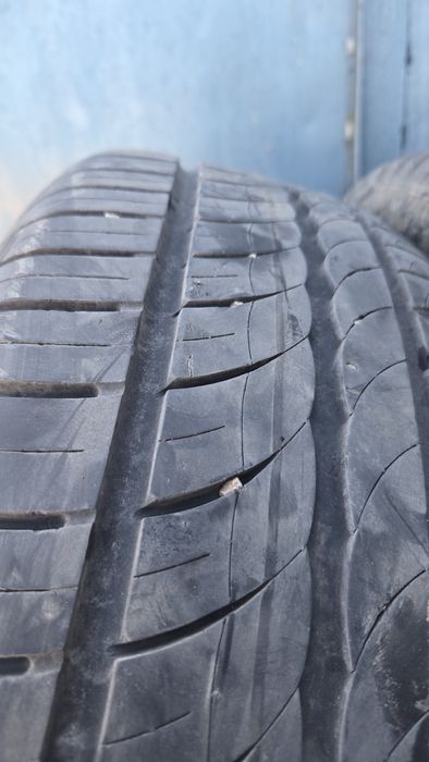 Резина  Pirelli Cinturato P1  195 55 r16