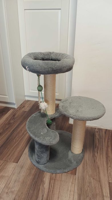 Ansamblu catarat pisici