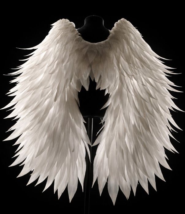 Крылья ангела, на заказ