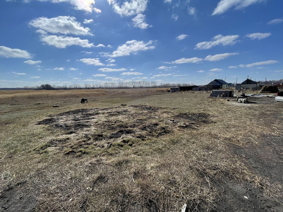 Продам землю в бишкуле