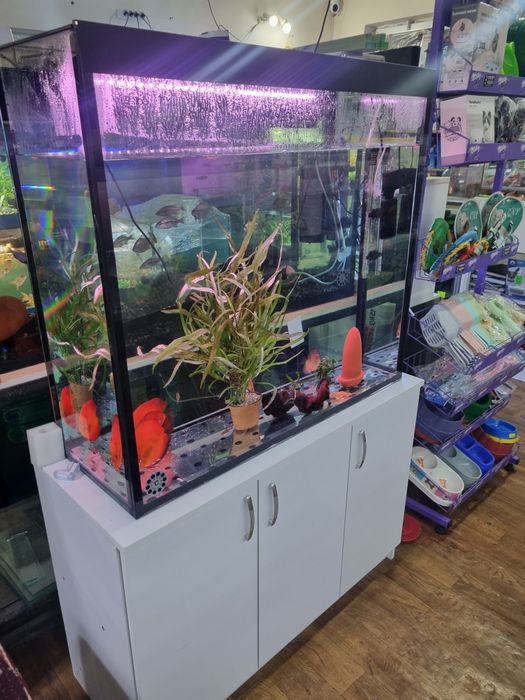 Аквариумные рыбки. Аквариум баликлари