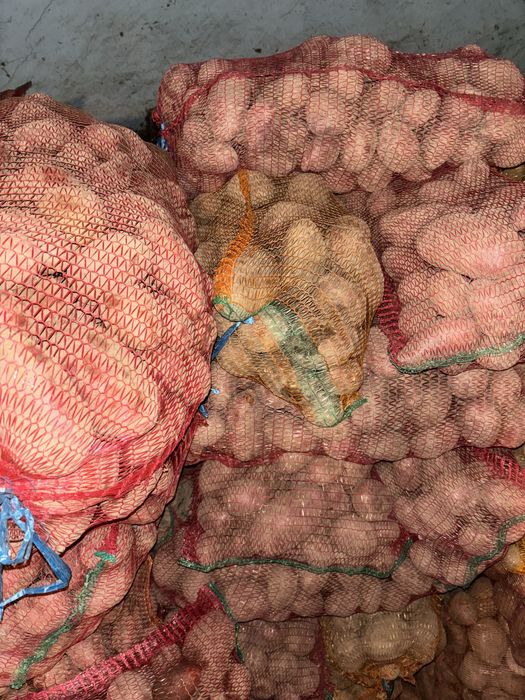 Vand cartofi consum samanta si pentru animale