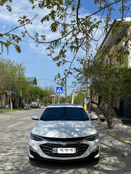 ТайорМалибуPrimer