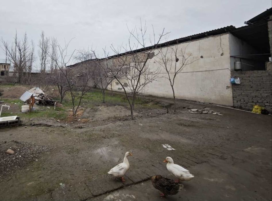 Тошкент ш., Янгихаёт тумани, Чорток махалласида 3 сотих уй сотилади