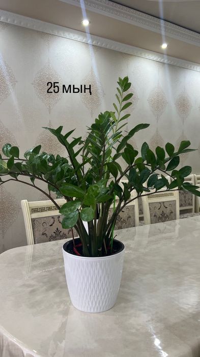 Уй гулдери сатилады