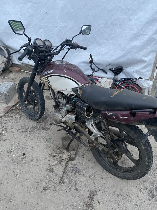 Мотоцикл рейсертигр 150