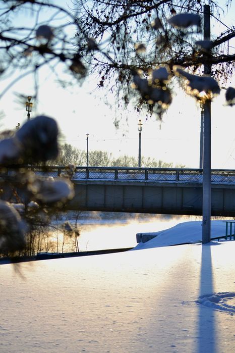 Продам nikon d3100