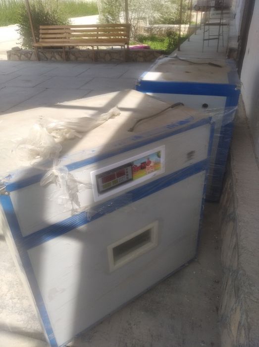 Инкубатор жу́жа чикарадиган