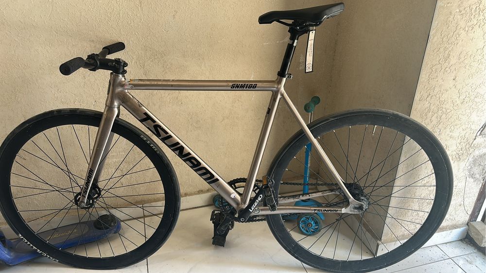 Tsunami/ Fixed gear