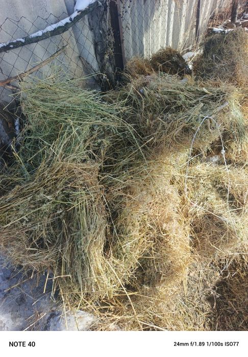 Продам сена срочно