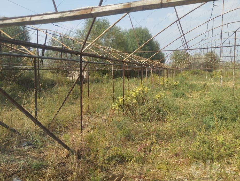 Teplitsa sotiladi