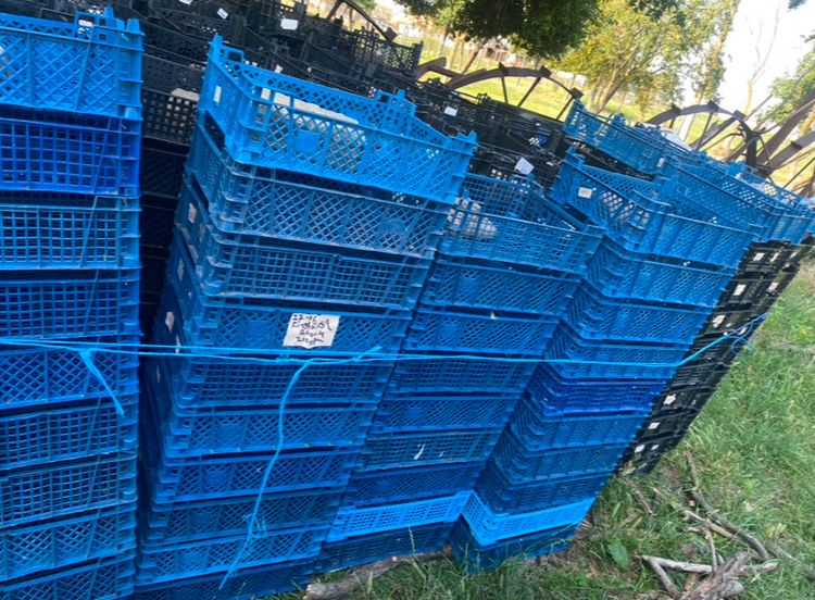 Ladițe din plastic pentru fructe si legume