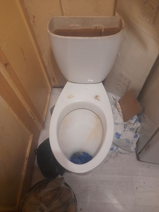 Отдам даром самовывоз