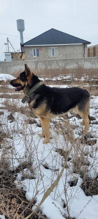 Кабель ВЕО готов к свиданию
