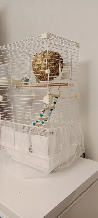 Клетка с попугаем